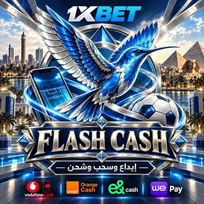 هوية FLASH CASH بتصميم البطاقة المختصرة